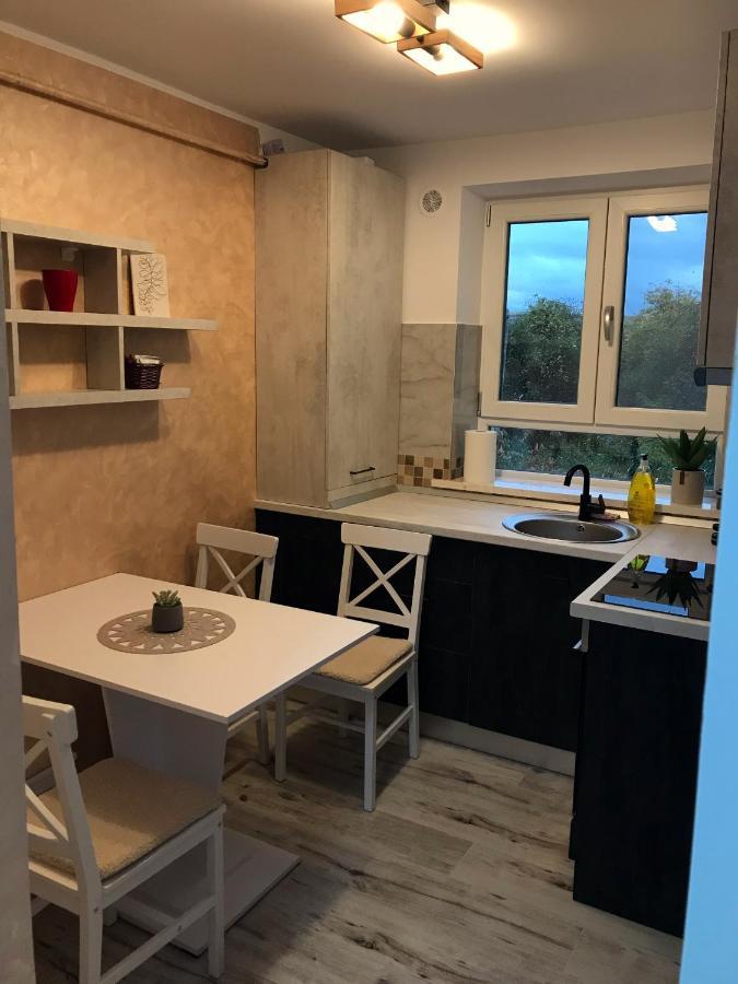Homely Apartment Suceava Ngoại thất bức ảnh