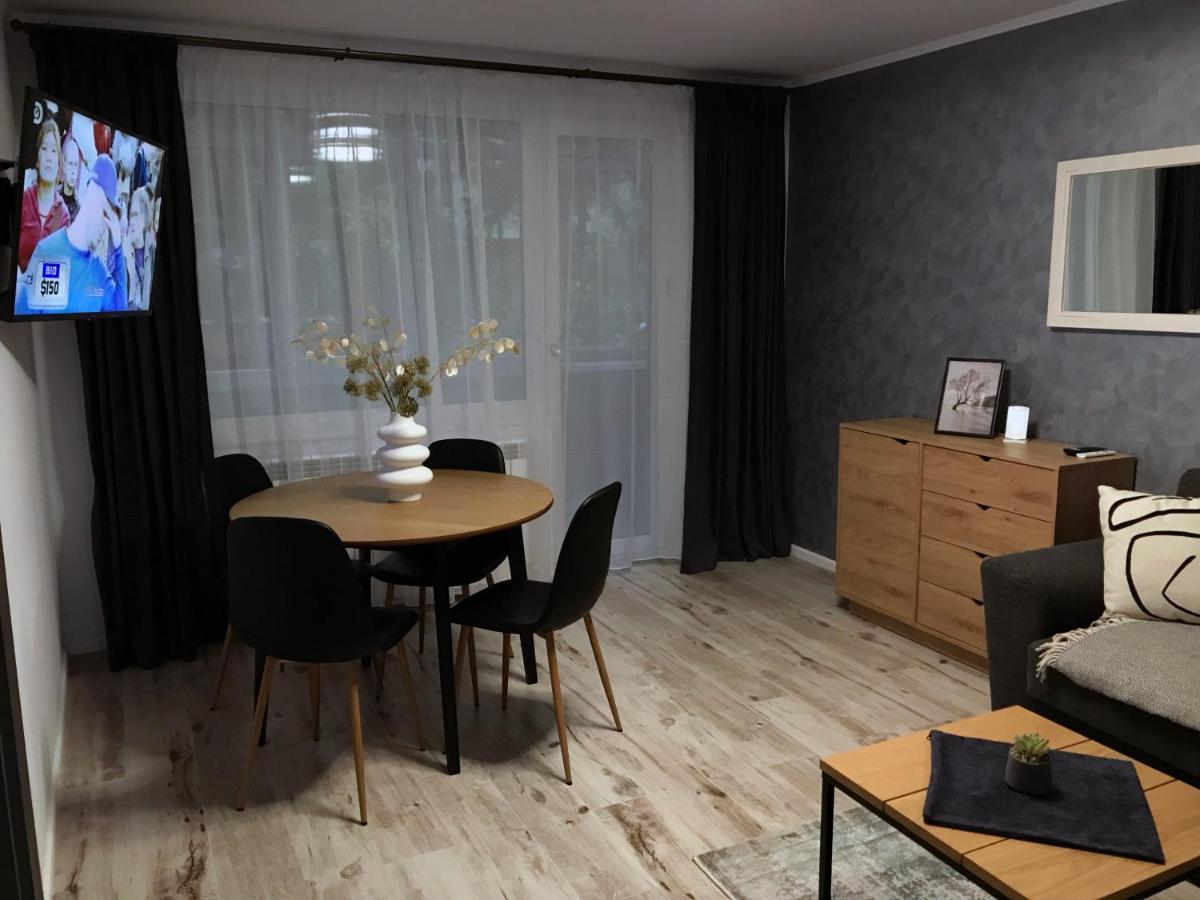 Homely Apartment Suceava Ngoại thất bức ảnh