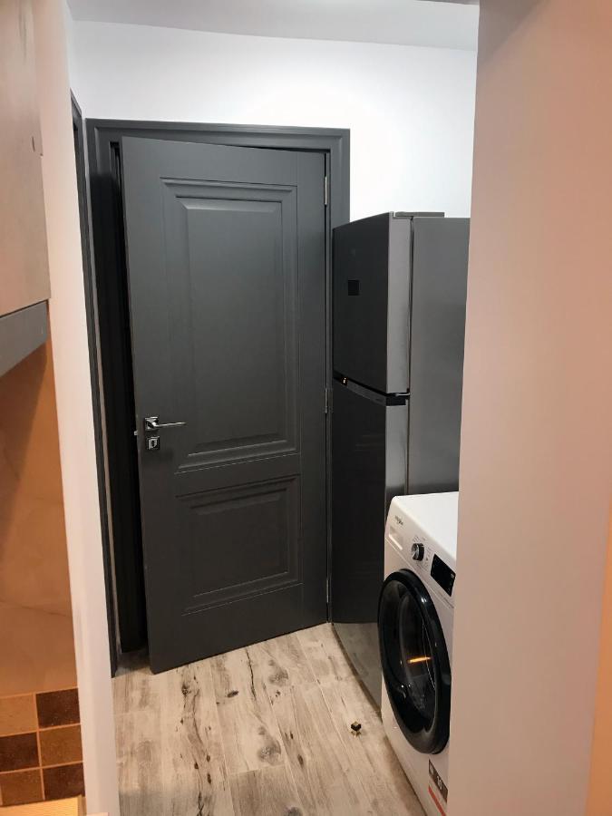 Homely Apartment Suceava Ngoại thất bức ảnh