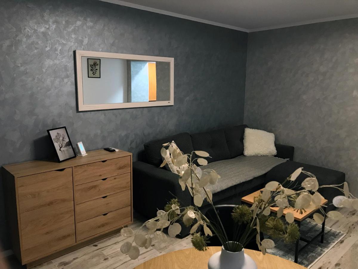 Homely Apartment Suceava Ngoại thất bức ảnh